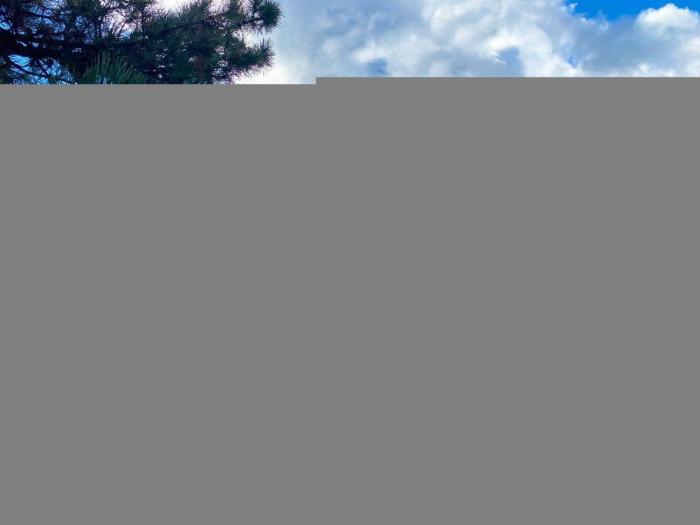 Comfort Inn Hamilton Main image